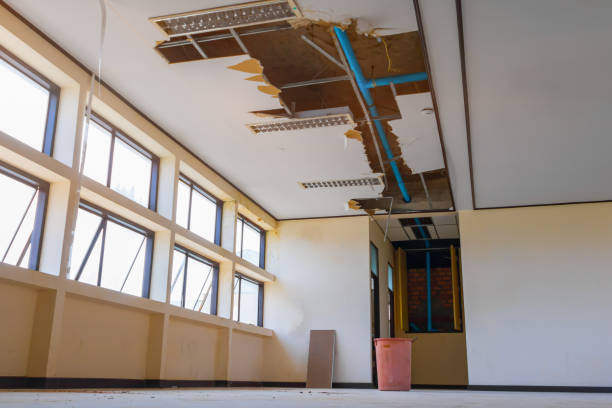 Best Flood restoration services  in St Simons, GA