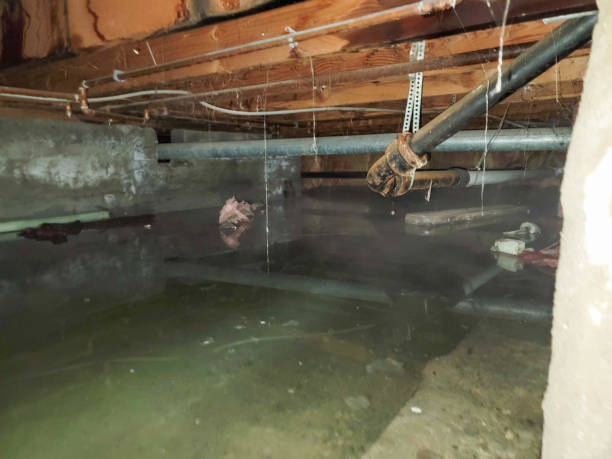 Best Water damage restoration cost  in St Simons, GA