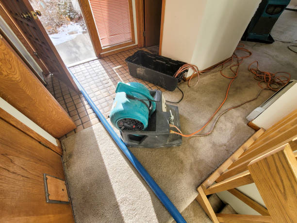 Best 24-hour water damage restoration  in St Simons, GA