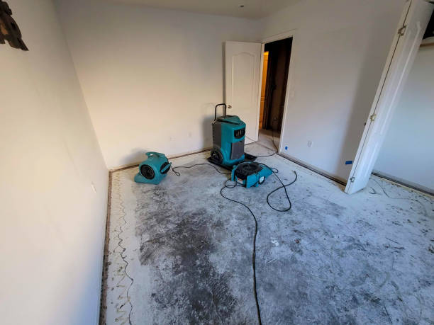 Best Sewage cleanup and water damage restoration  in St Simons, GA