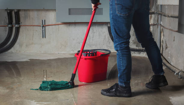 Best Mold removal after water damage  in St Simons, GA