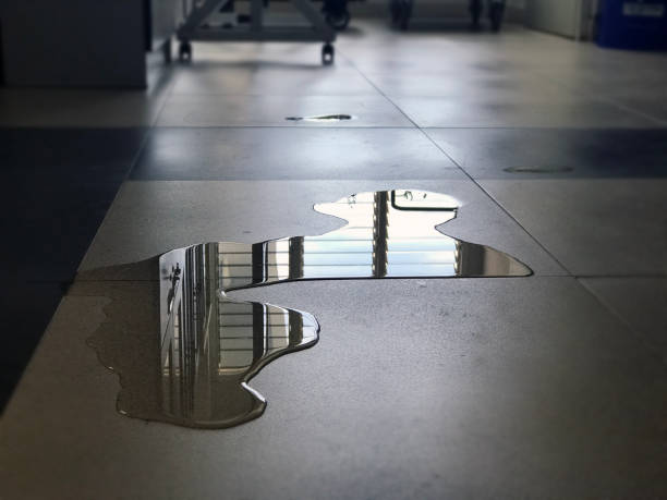Best Professional water damage repair  in St Simons, GA