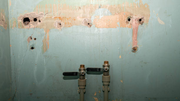 Best Flooded house restoration  in St Simons, GA