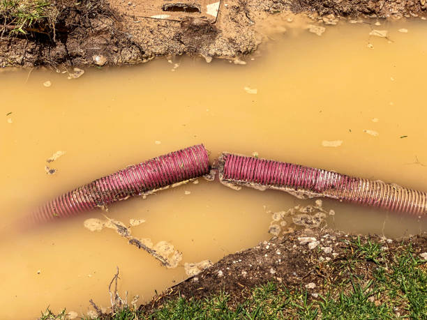 Best Flood restoration services  in St Simons, GA