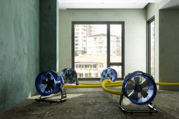 Trusted St Simons, GA Water damage restoration Experts